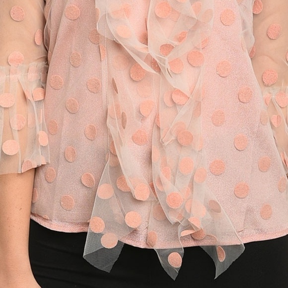 Ruffle Dot Tulle Blouse - Picture 3 of 6